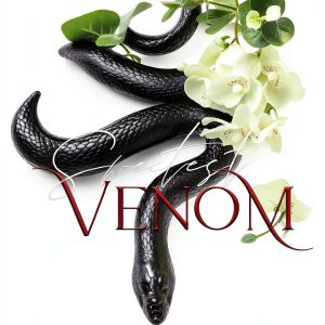Kindle eBook Coming of Age Romance Novel by Author Name-0